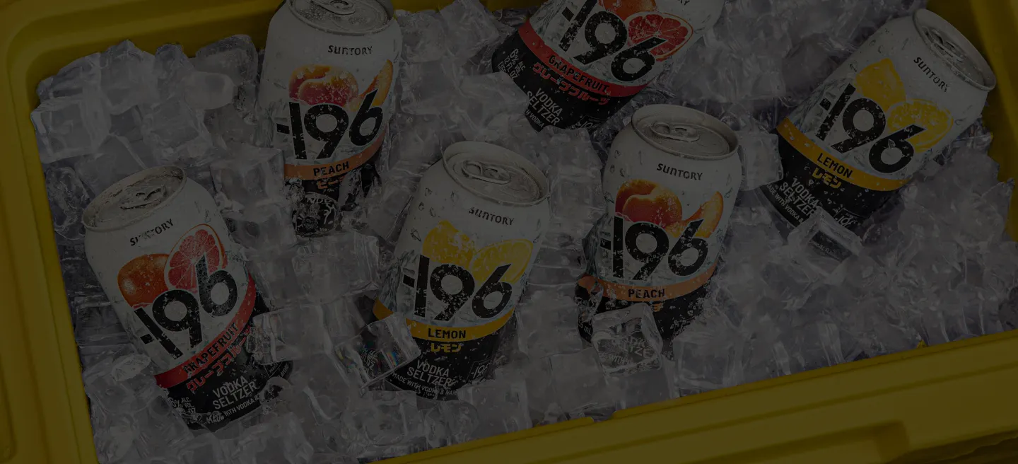 -196 Vodka Seltzer flavors and variety packs